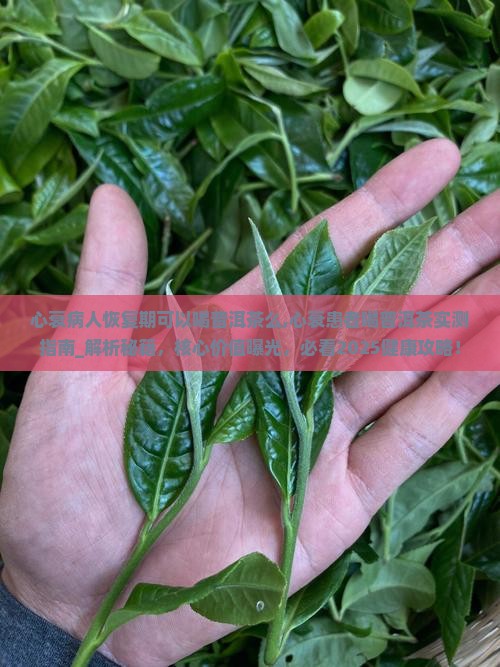 心衰病人恢复期可以喝普洱茶么