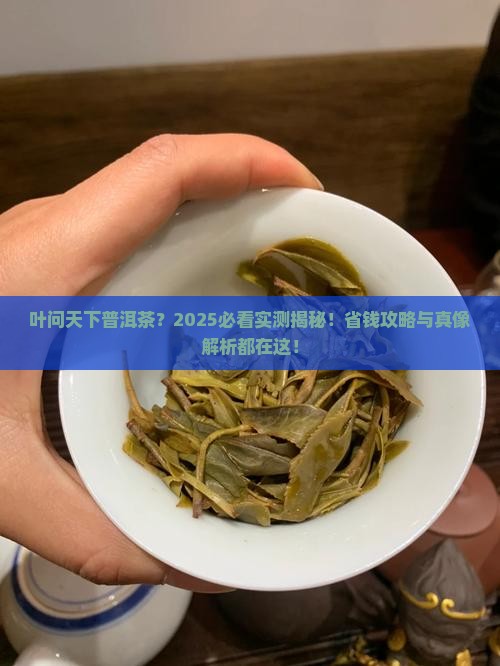 叶问天下普洱茶