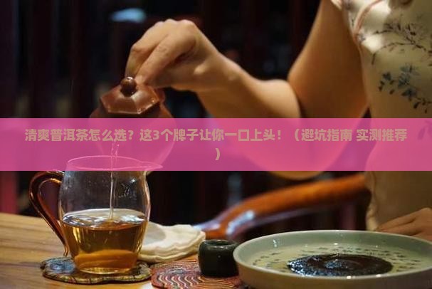 清爽的普洱茶推荐哪种牌子
