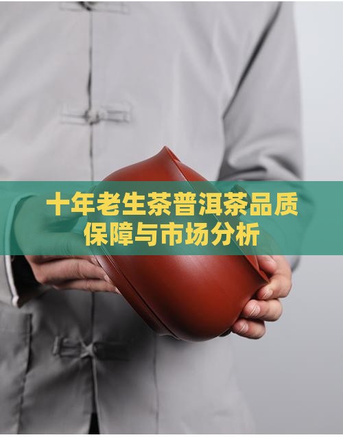 十年老生茶普洱茶