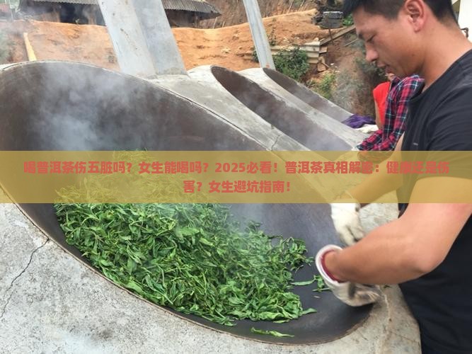 喝普洱茶伤五脏吗女生能喝吗