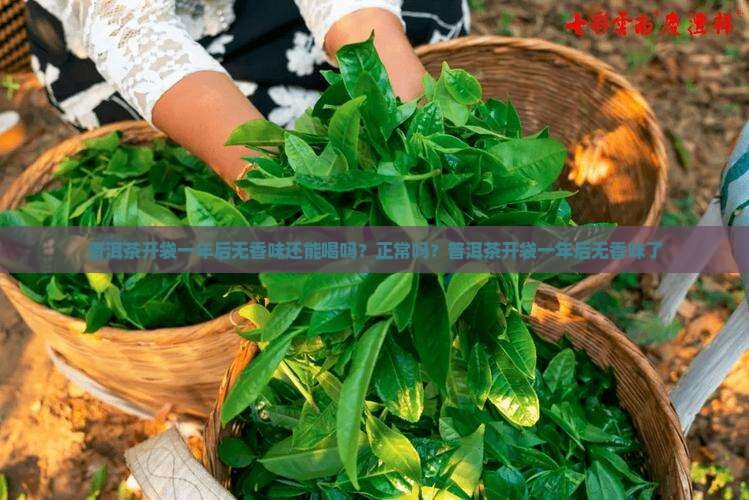普洱茶开袋一年后无香味