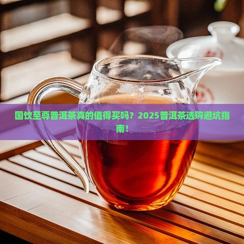 国饮至尊普洱茶