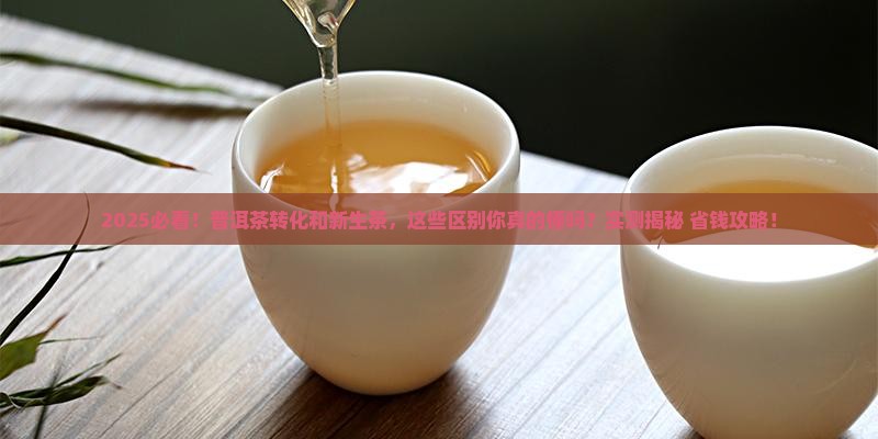 普洱茶转化和新茶区别在哪