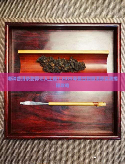 最甘甜的普洱茶是哪种