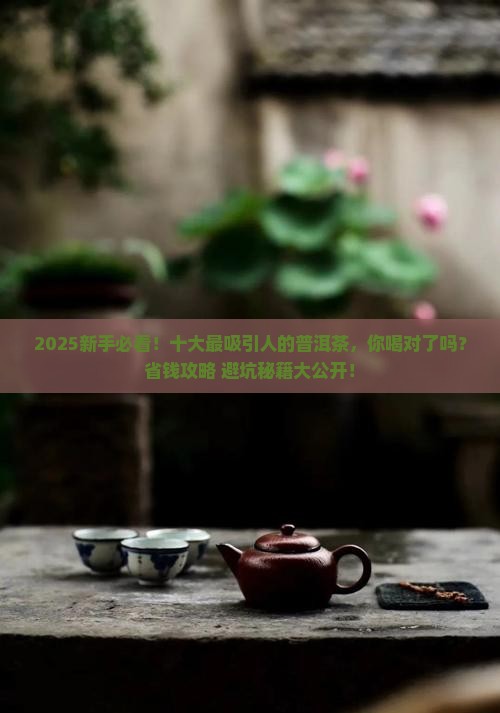 十大最吸引人的普洱茶