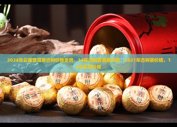 2024年云南普洱茶古树价格