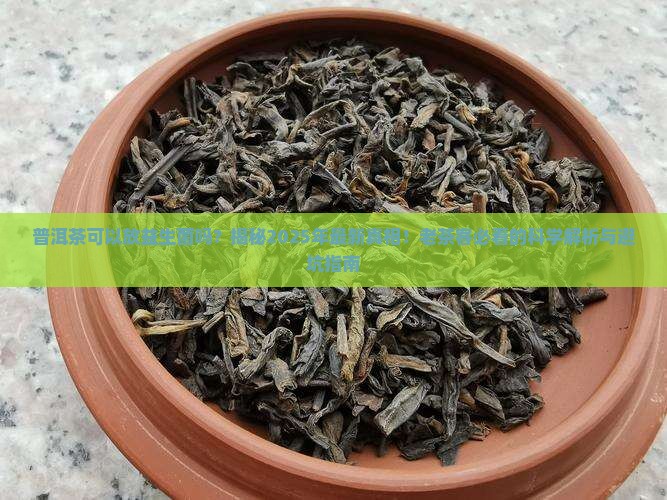 普洱茶可以放益生菌吗百度百科