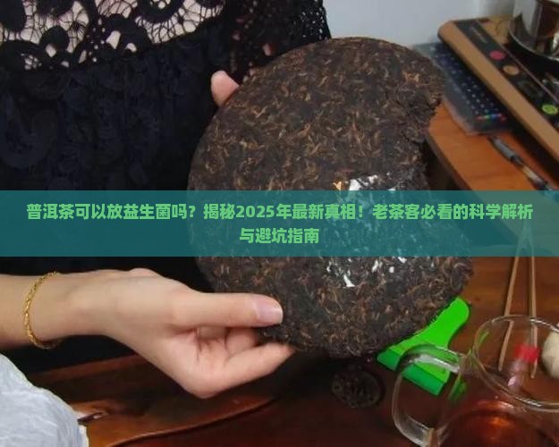 普洱茶可以放益生菌吗百度百科