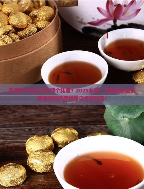 普洱茶产地分布在哪个纬度