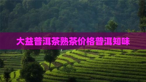 大益普洱茶熟茶批次普知味