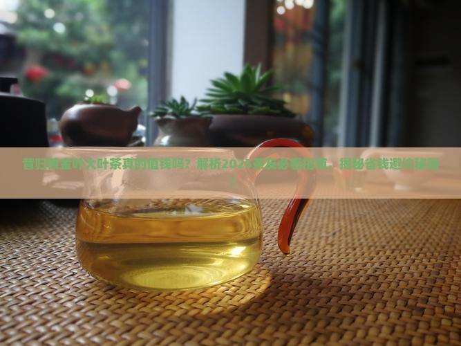 昔归黄金叶大叶茶