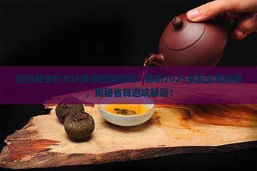 昔归黄金叶大叶茶
