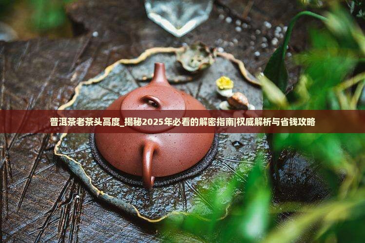 普洱茶老茶头高度
