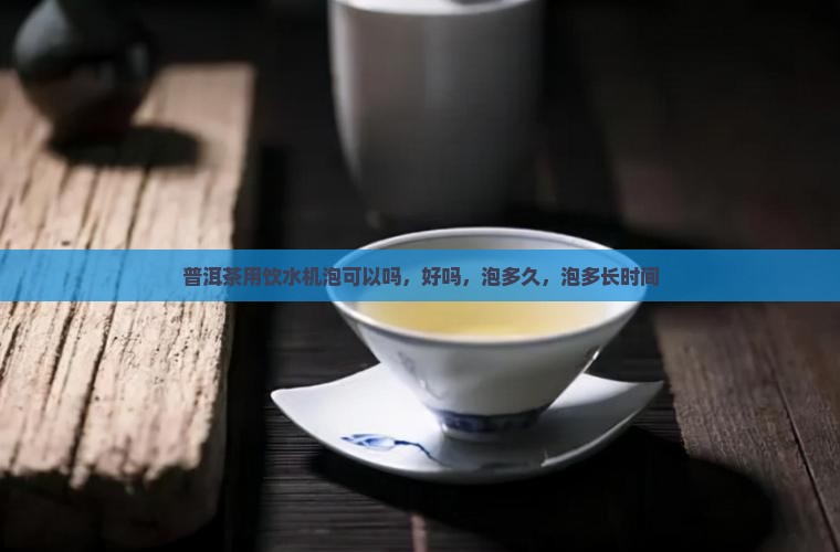 普洱茶用饮水机泡