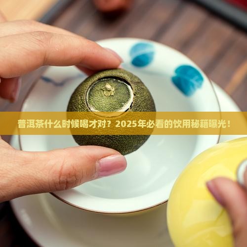 普洱茶什么季节都可以喝吗