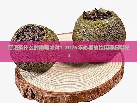 普洱茶什么季节都可以喝吗
