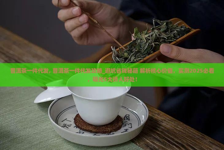 普洱茶一件代发