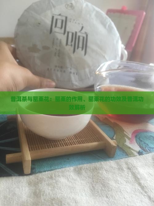 普洱茶加罂粟花的作用是什么