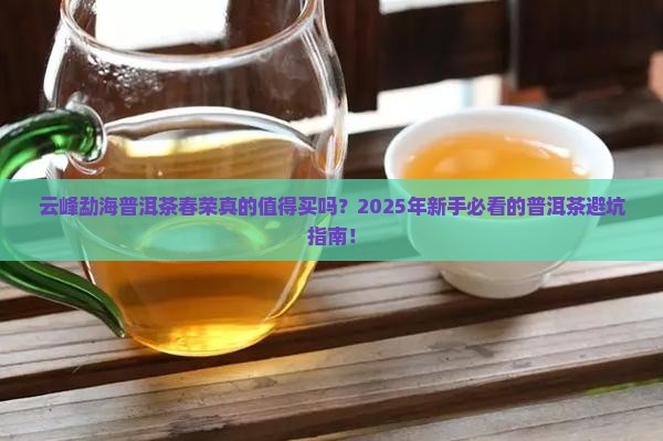云峰勐海普洱茶春荣