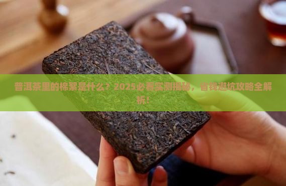 普洱茶漂浮棉絮状物