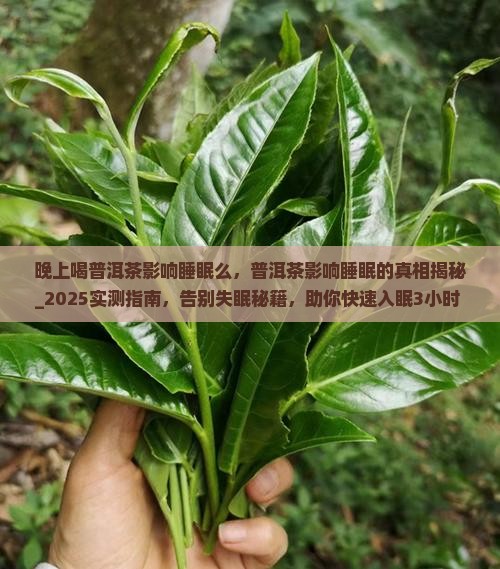 晚上喝普洱茶影响睡眠么