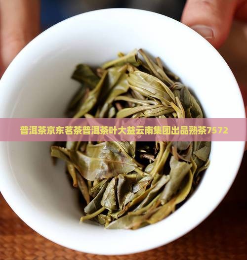 普洱茶餅7572