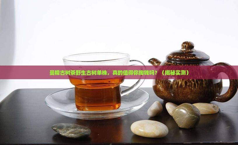 曼糯古树茶野生古树单株