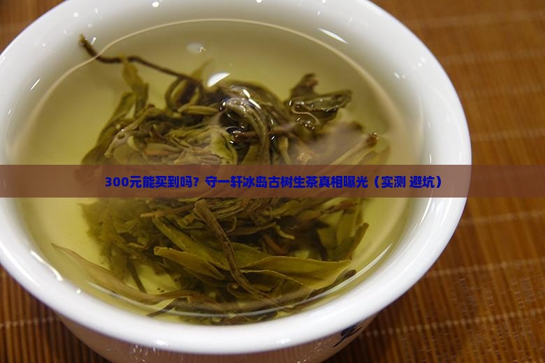 守一轩冰岛古树生茶多少钱