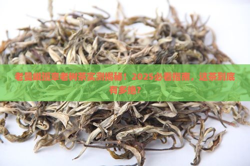 老曼峨班章老树茶