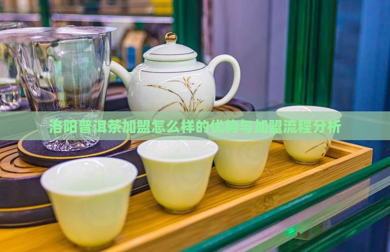 洛阳普洱茶加盟怎么样的