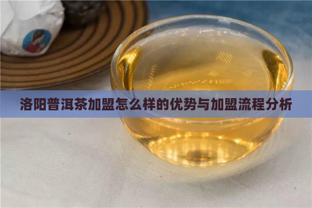 洛阳普洱茶加盟怎么样的
