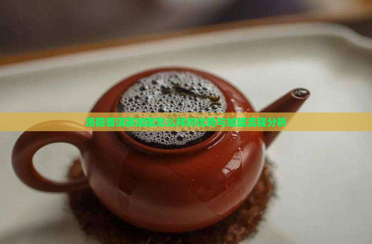 洛阳普洱茶加盟怎么样的