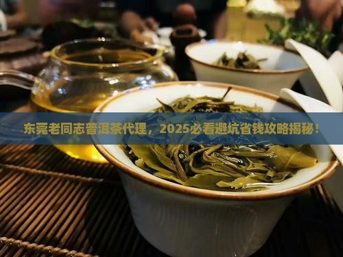 老同志普洱茶东莞代理