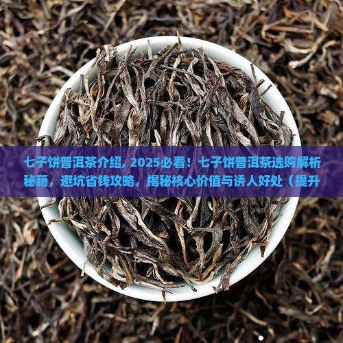 七子饼普洱茶介绍