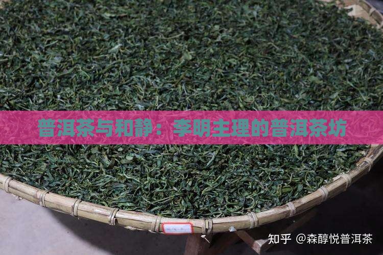 普洱茶烘培师李明