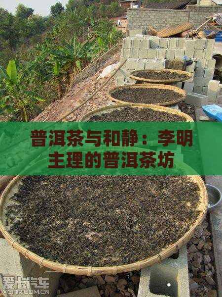 普洱茶烘培师李明