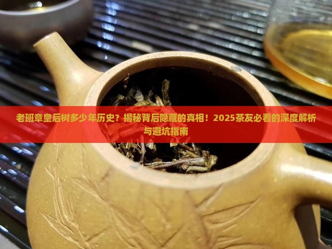 老班章皇后树多少年历史