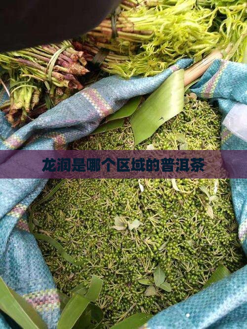 龙润是哪个区域的普洱茶