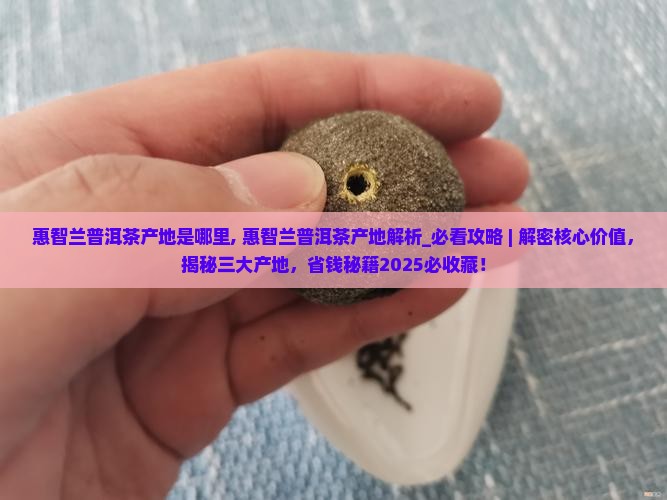 惠智兰普洱茶产地是哪里