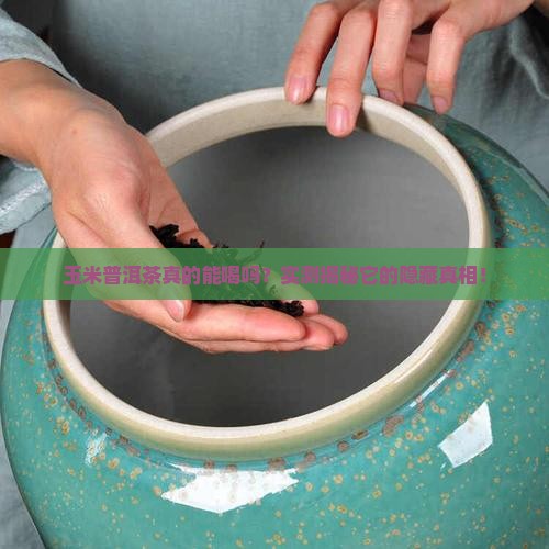 玉米普洱茶测评