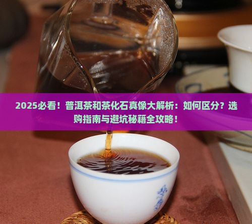普洱茶和茶化石的区别