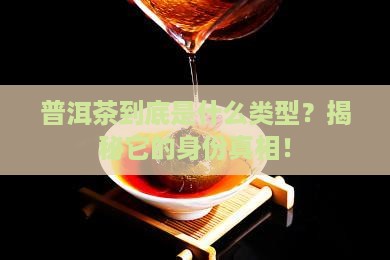 普洱茶属于什么种类型