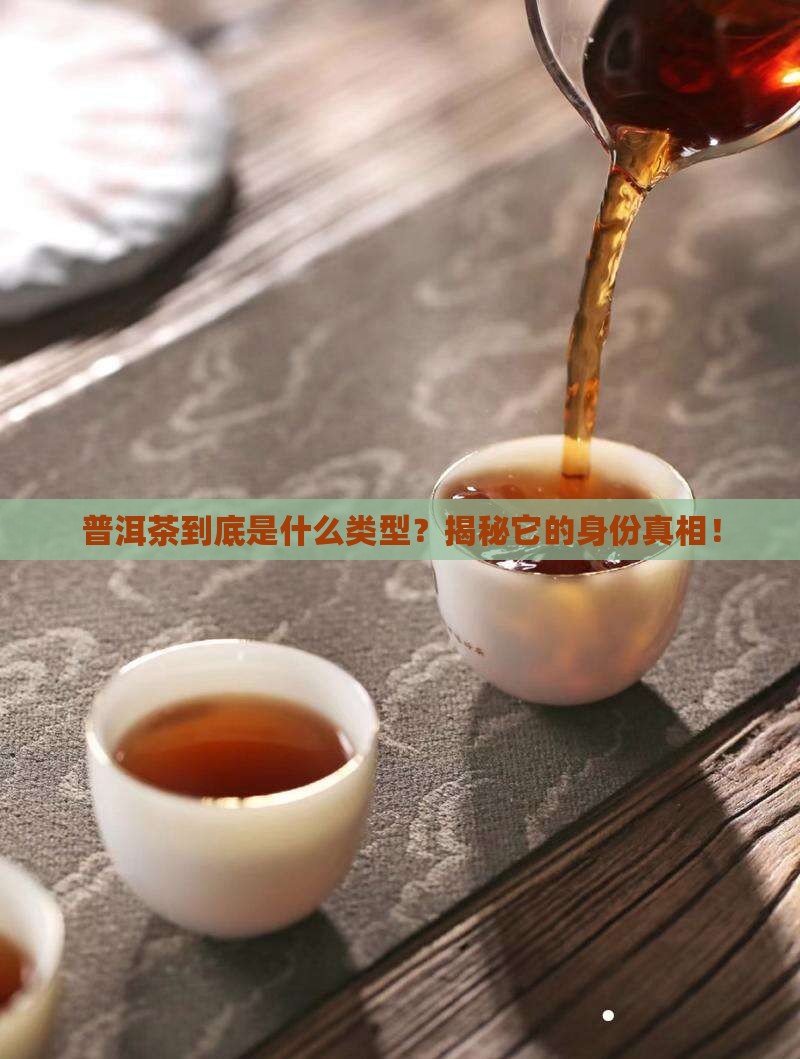 普洱茶属于什么种类型