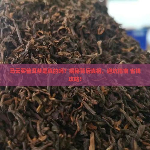 马云买普洱茶是真的吗为什么