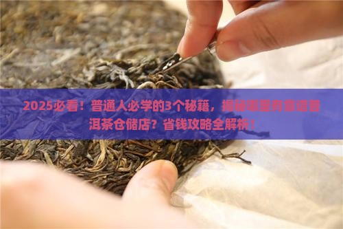 哪里有普洱茶仓储店的