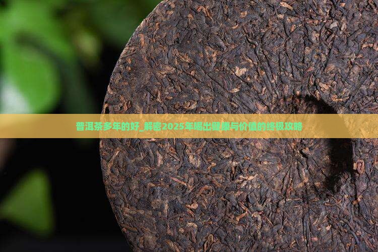普洱茶多年的好