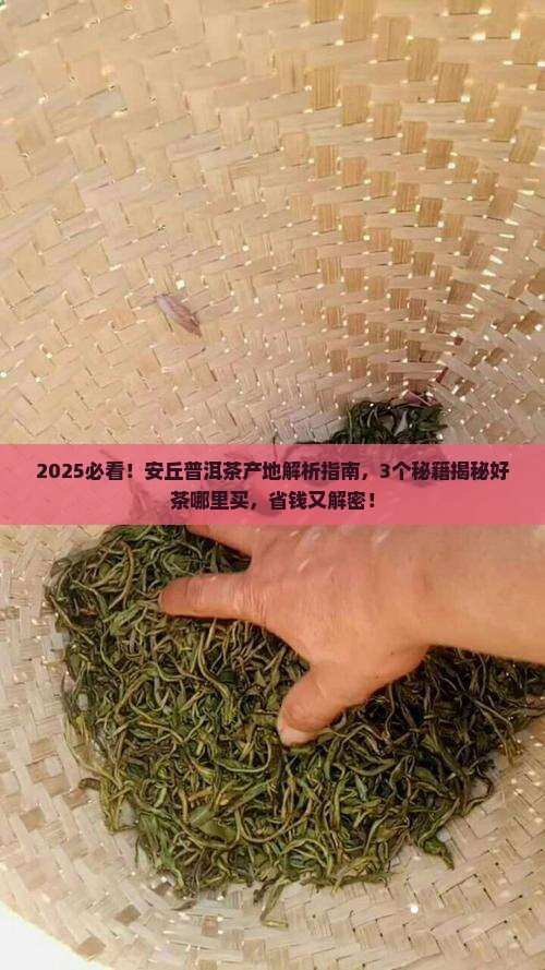 安丘普洱茶产地