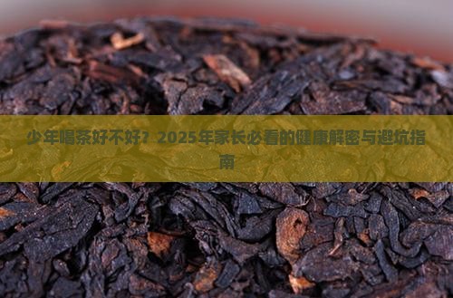 少年喝茶好不好