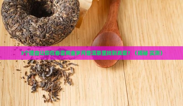 春雷黄金岁月普洱茶
